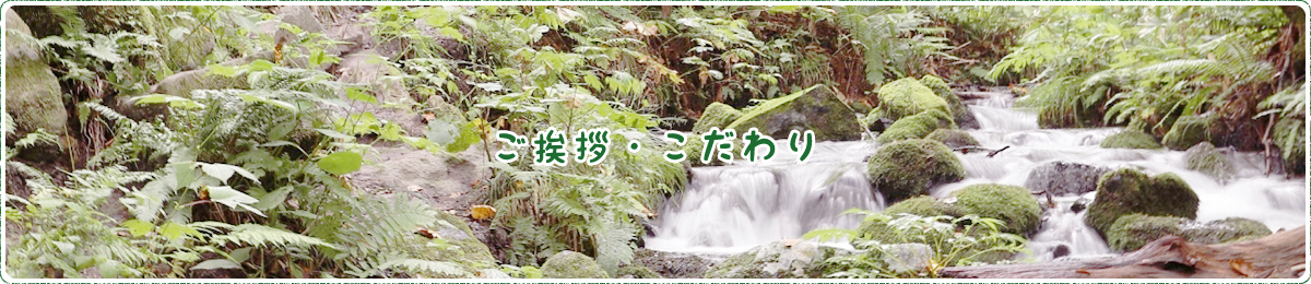 ご挨拶・こだわり